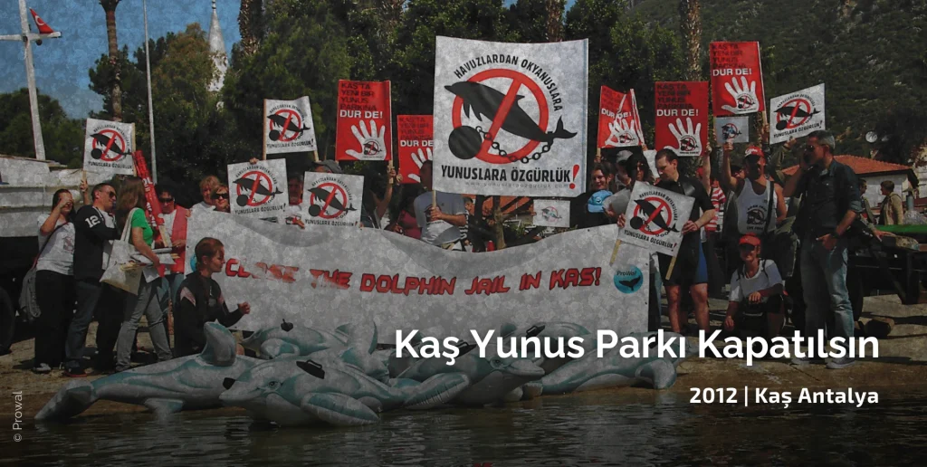 Kaş yunus parkının kapatılması için iki yıl süren uzun soluklu mücadelemizde ilk Kaş yunus parkı karşıtı eylemlerimizden biri, protestolar, okullarda seminerler ve halk bilgilendirme toplantıları ile birlikte.