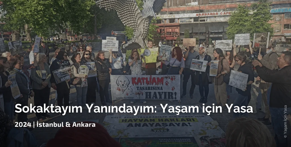 Yaşam İçin Yasa İnisiyatifi kurucu bileşenlerinden biri olarak yerel seçimler öncesindeki sokak hayvanlarının yaşam hakkı ve özgürlüğü için düzenlediğimiz mahalle bazlı eylemlerden İstanbul'dan başlayıp diğer illere yayılan Sokaktayım Yanındayım Yaşam Nöbeti organizasyonu ve mücadelesi