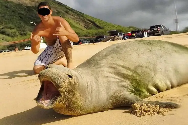 Yaban hayvanlarıyla selfie çektirmek ve onları rahatsız etmek, hayvanların yaralanması veya ölümüyle sonuçlanabilir.