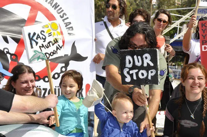 Fotoğraf: Dolphin Angels & Free the Kaş Dolphins grubu