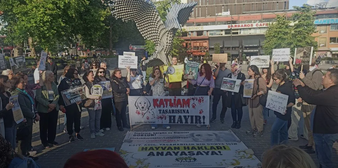 Sokaktayım Yanındayım İstanbul Beşiktaş İskelesi'ndeki yaşam nöbetinden