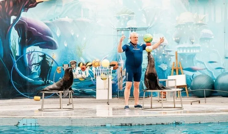 Antalya Waterhill Park'ta yunus ve fok ölümü, Diken haberi. Fotoğraf: Instagram